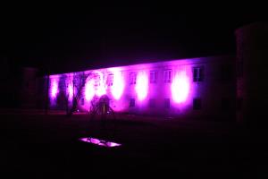 21.11.2019 - slika 1